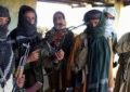 پاکستان دو فرمانده طالبان را از زندان رها کرده است