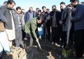 در جریان سال جاری ۲۷۰ هزار نهال در هرات غرس می‌شود