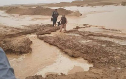 ریاست مبارزه با حوادث طبیعی نیمروز سیلاب دریای هلمند را قابل نگرانی نمی‎دانند