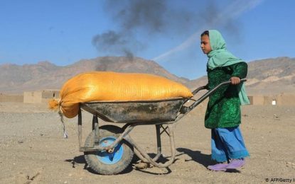 رسیدگی به ۷۴۳ دوسیه تخلفات کودکان در دادستان کل افغانستان