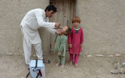 تهدید طالبان سبب محروم شدن ۲۶ درصد کودکان در هرات از واکسین پولیو شده‌اند