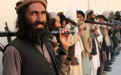 والی پکتیا: طالبان متعهد به صلح نیست