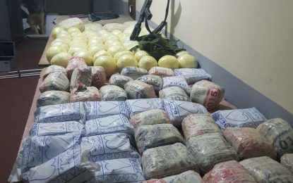 نیمروز: از قاچاق یک محموله ی ۱۴۲ کیلوگرامی مواد مخدر جلوگیری شد.