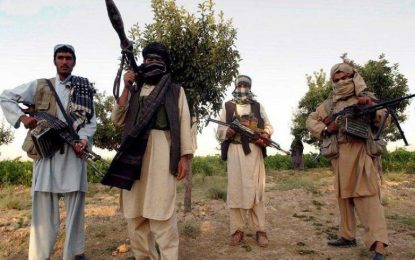 تلفات سنگین طالبان در فراه، ۱۳ عضو این گروه کشته شده اند
