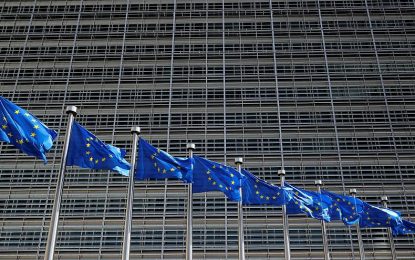 سفیران اتحادیه اروپا در کشور ، خواهان حل فوری بحران سیاسی شدند