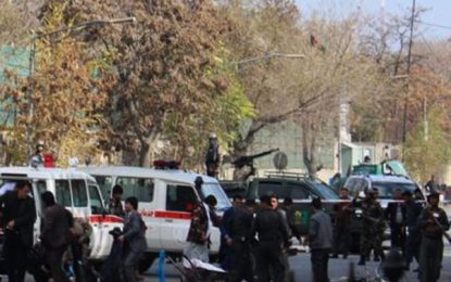 در حمله انتحاری به اعتراض کنندگان در کابل ۷ تن جان باخته‌اند