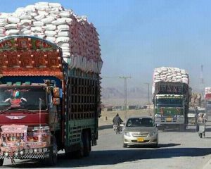 مقام های محلی قندوز: گندم قندوز توسط تاجران پاکستانی به پاکستان قاچاق می شود