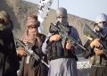 بزرگان قومی از طالبان بادغیس خواسته اند جنگ را آرام کنند