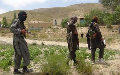 حملات طالبان و «لشکر اسلام» در ننگرهار ۱۳ کشته و زخمی برجا گذاشت