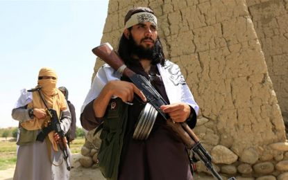 دو تن به شمول یک نظامی توسط طالبان در ولایت پروان کشته شدند